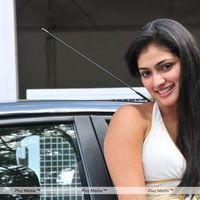 Haripriya New Photo Shoot - Pictures | Picture 115723